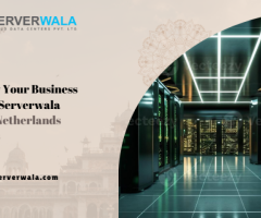 Grow Your Business with Serverwala VPS Netherlands Plans