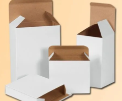 ManikPrintPack: Leading Manufacturer of Mono Carton Boxes