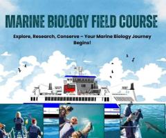 Marine Biology Field Course