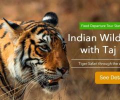 Tiger Safari India Tour