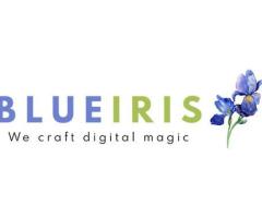 Blueiris: Top Digital Marketing Agency in Mumbai