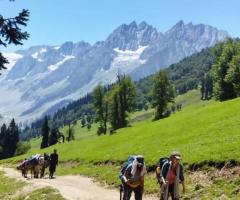 Tarsar Marsar Trek distance, height and Altitude