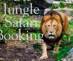 Gir Jungle Safari Booking