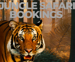 Ranthambore Jungle Safari Bookings