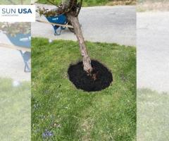 Spring Cleanup Lawn Service for a Fresh and Healthy Yard