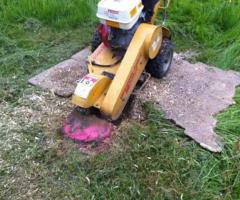 Stump Grinding North Shore