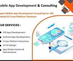 Mobile App Development Consulting & Advisory Services | DESSS