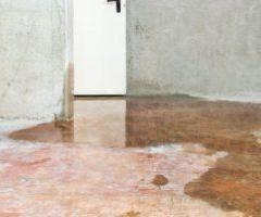 PuroClean - Top-Rated Water Damage Restoration Services Near You