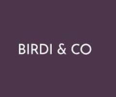 Birdi & Co Solicitors