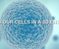 Enhance Your Projects with 3D Supporting Products from Alphabioregen