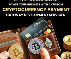 Cryptocurrency Payment Gateway Development Company