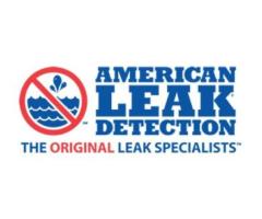 American Leak Detection of Jackson