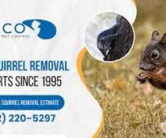 Rodent Control in NJ