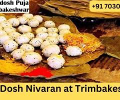 Pitra Dosh Nivaran at Trimbakeshwar | Pitra Dosh Puja Trimbakeshwar