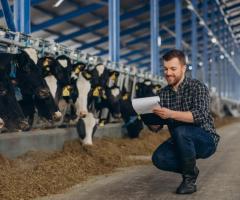 Streamline Your Farm with Dairy Management Software | Cattle Care