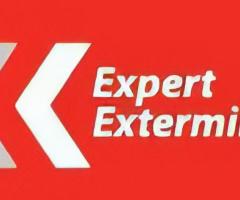 Expert Extermination Montreal