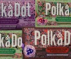 Best Place to Buy Polkadot Mushroom Chocolate – Shop Now!