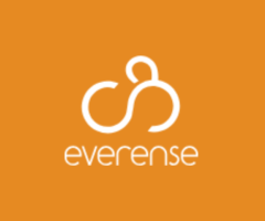 Everense: Expert Website Development and Optimization in France