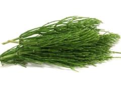 Vente de “Prêle des champs (Horsetail Herb)” en vrac du fabricant au meilleur prix.