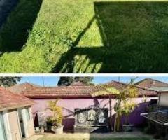 Garden Maintenance in Matraville, Sydney – My Clean Cartel