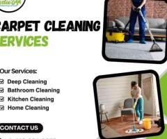 Top-Quality Carpet Cleaning Services in Pittsburgh