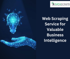 Web Scraping Service for Valuable Business Intelligence