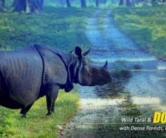 Dooars Package Tour from Kolkata – Explore the Wild Side of Bengal