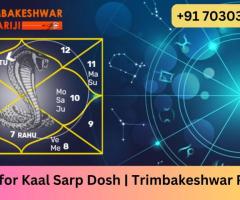 Pooja for Kaal Sarp Dosh | Trimbakeshwar Pujariji