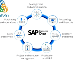 SAP Service Provider Companies in Delhi NCR