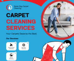 Revive Your Carpets with Expert Carpet Cleaning Griffith