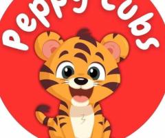 Play Zone In Gurgaon | Peppy Cubs