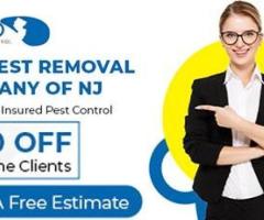 Wildlife Removal in Bergen County, NJ