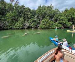 Raccoon Island Tour Miami