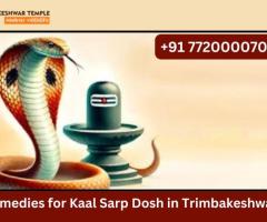 Remedies for Kaal Sarp Dosh in Trimbakeshwar