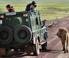 Discover the Best Kenya Safari Tours from Nairobi with Bigzone Safaris Africa Limited