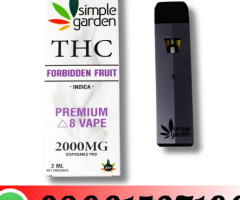 Delta-8 THC Disposable Vape 2000mg Price In Pakistan - 03001597100