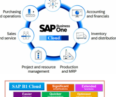 MaiVin Consulting: Your Trusted SAP Business One Partner for Full-Service ERP Solutions