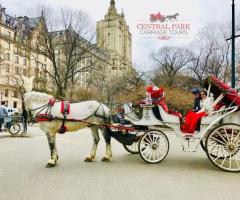 Valentine Horse Ride