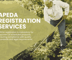 Expert Consultancy for APEDA Registration and Beyond