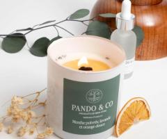 Pando & Co