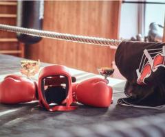 Premium Boxing Head Guards – Ultimate Protection at Fight Shop HTX