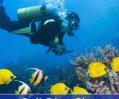 Want to Explore Bali’s Underwater World? Visit Dive Concepts