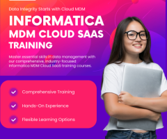 IT Training Program | Informatica MDM Cloud Saas