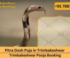 Pitra Dosh Puja in Trimbakeshwar | Trimbakeshwar Pooja Booking