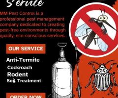 MM PEST CONTROL IS BEST PROVIDER FOR TERMITE TREATMENT IN RANCHI