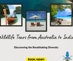 Wildlife Tours from Australia to India: Exploring the Rich Natural Treasures