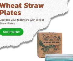 Wheat Straw Plates