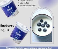 Order Greek Yogurt Online in Mohali – Healthy & Delicious!