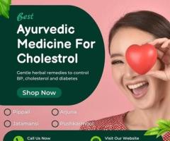 Best Ayurvedic Medicine for Cholesterol : You Should Try!