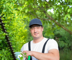 Safe & Professional Tree Removal Services Taylor Tree Services Abilene - 1